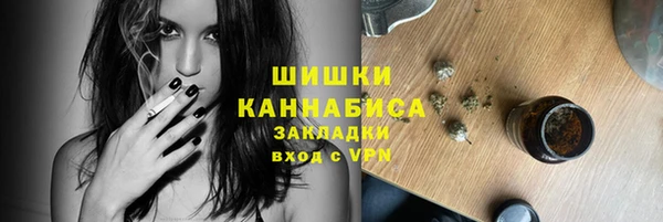 ПСИЛОЦИБИНОВЫЕ ГРИБЫ Инсар