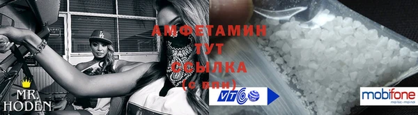 ПСИЛОЦИБИНОВЫЕ ГРИБЫ Инсар