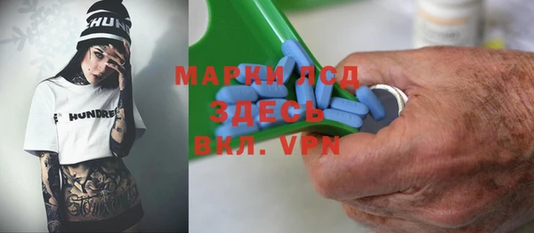ПСИЛОЦИБИНОВЫЕ ГРИБЫ Инсар
