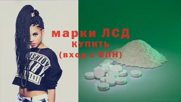 ПСИЛОЦИБИНОВЫЕ ГРИБЫ Инсар