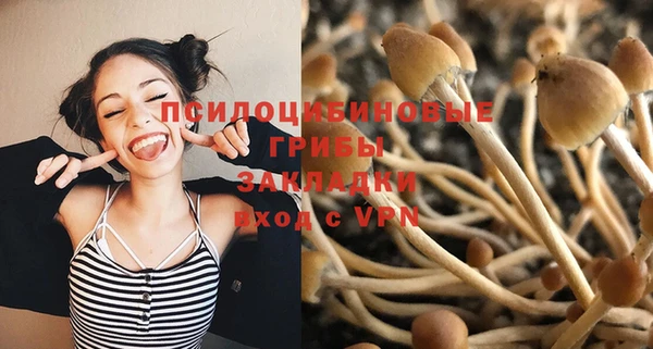 ПСИЛОЦИБИНОВЫЕ ГРИБЫ Инсар