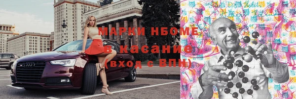 ПСИЛОЦИБИНОВЫЕ ГРИБЫ Инсар