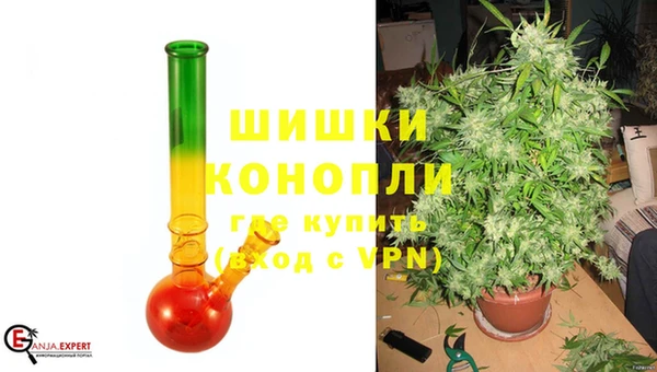 трава Иннополис