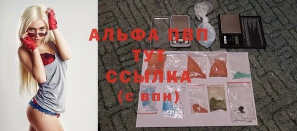 трава Иннополис