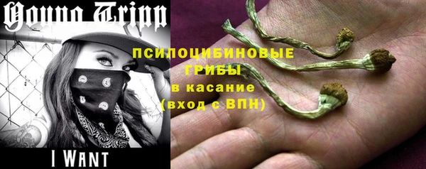 ПСИЛОЦИБИНОВЫЕ ГРИБЫ Инсар